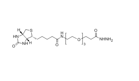 生物素-六聚乙二醇-酰肼,Biotin-PEG3-HZ