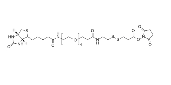 生物素-四聚乙二醇-S-S-活性酯,Biotin-PEG4-S-S-NHS