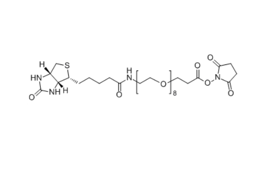 Biotin-PEG8-SPA