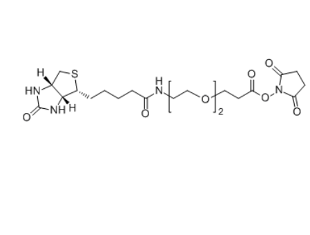 生物素-聚乙二醇-活性酯,Biotin-PEG2-NHS