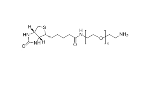 Biotin-PEG4-NH2