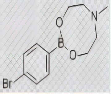 4-溴苯硼酸N-甲基二乙醇胺酯,4 - Bromophenylboronic acid N - methyl diethanolamine cyclic ester