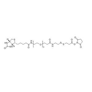 Biotin-PEG4-S-S-NHS 1260247-51-5 生物素-四聚乙二醇-S-S-活性酯