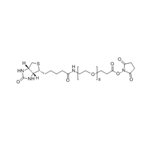Biotin-PEG4-SPA 459426-22-3 Biotin-PEG4-NHS