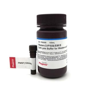 Western及IP細胞裂解液,Western and IP Cell lysis Buffer