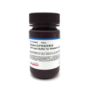 Western及IP細胞裂解液,Western and IP Cell lysis Buffer
