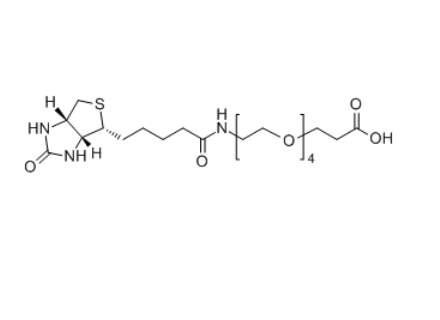 Biotin-PEG4-COOH
