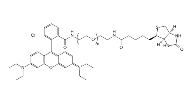 羅丹明B-聚乙二醇-生物素,RB-PEG-Biotin