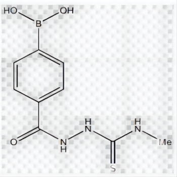 4-[2-(Methylcarbamothioyl)hydrazinocarbonyl]benzeneboronic acid