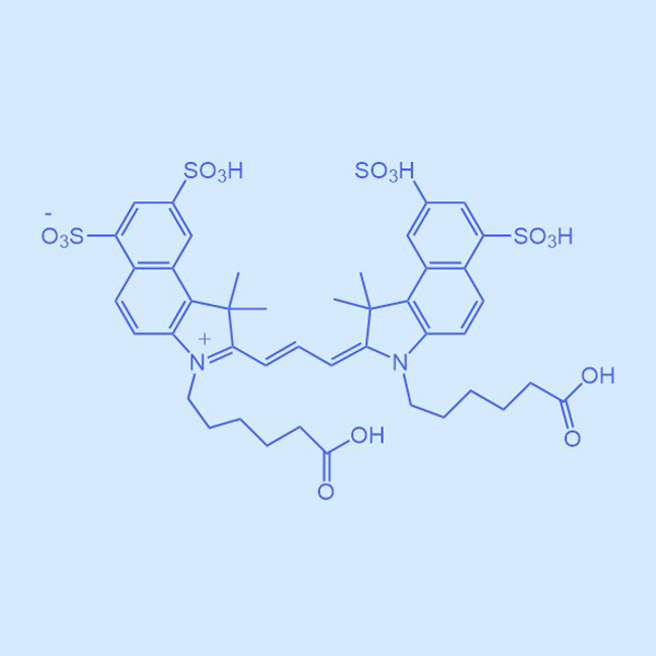 β-内啡肽,β-Endorphin