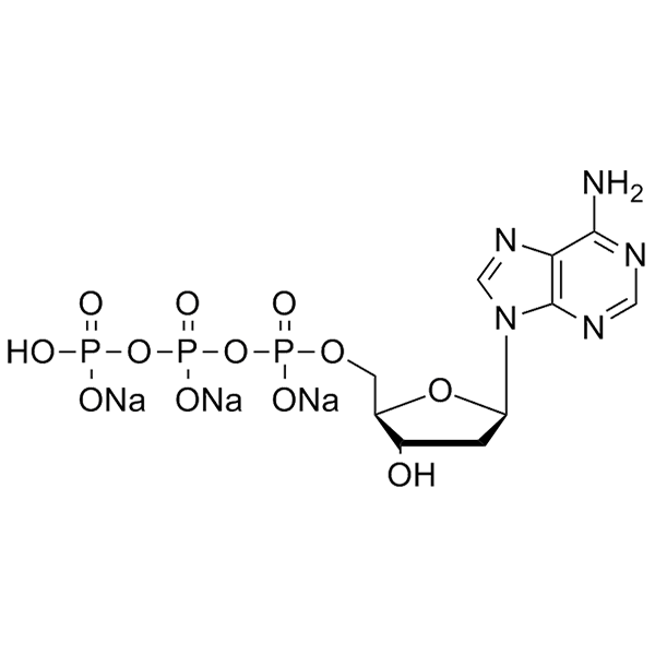 2'-脱氧腺苷-5'-三磷酸三钠盐(DATP.NA3),dATP-trisodium-salt