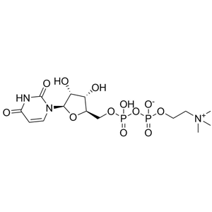 尿苷二磷酸胆碱（UDPC）,Uridine Diphosphate Choline (UDPC)