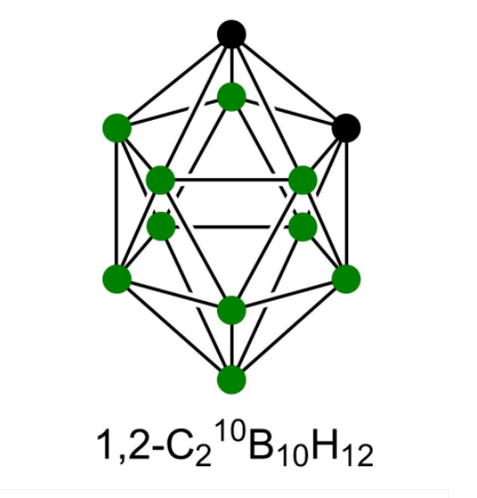 o -Carborane 10B