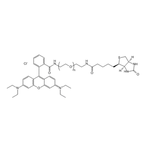 RB-PEG-Biotin 罗丹明B-聚乙二醇-生物素