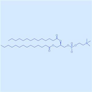1,2-二肉豆蔻酰-sn-甘油-3-磷酸胆碱,DMPC