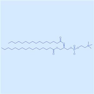 二棕榈酸磷脂酰胆碱,DPPC,63-89-8