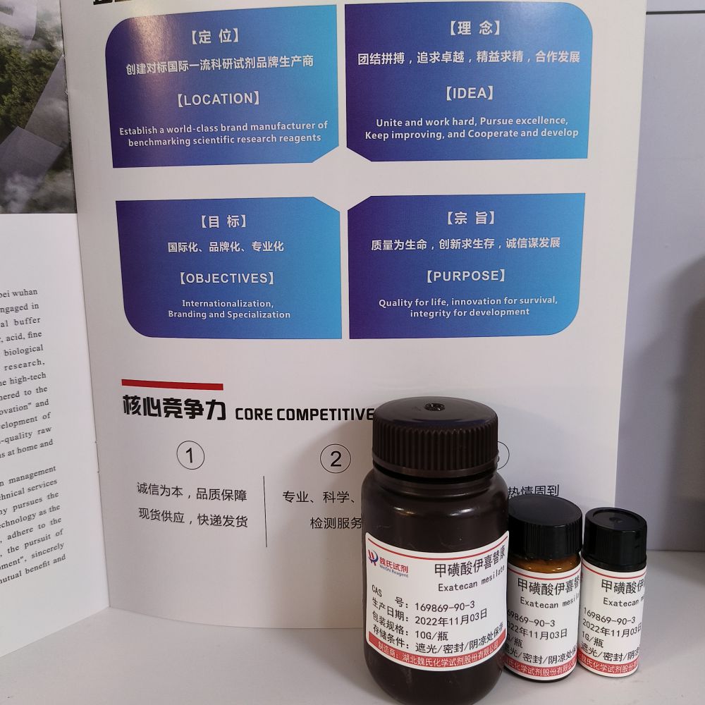 甲磺酸伊喜替康,Exatecan mesilate