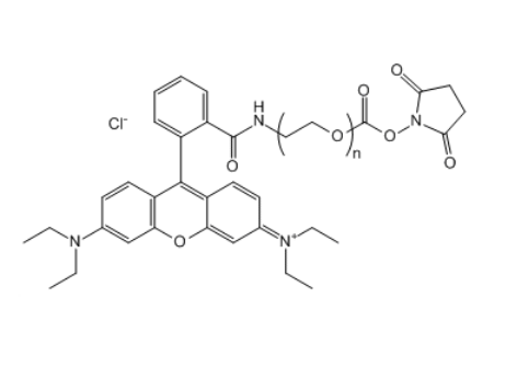 罗丹明B-聚乙二醇-琥珀酰亚胺碳酸酯,RB-PEG-SC