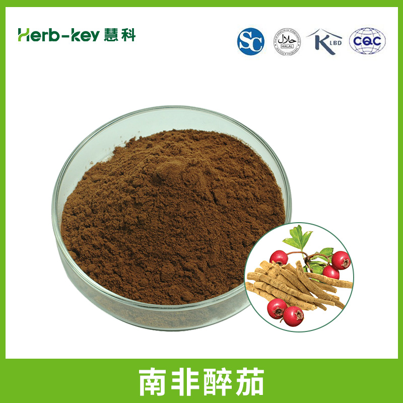 醉茄提取物  10:1,Ashwagandha Extract