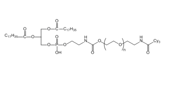 DSPE-PEG-Cy3