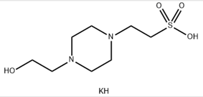 N-(2-羟乙基)哌嗪-N′-(2-乙磺酸) 钾盐,HEPES PotassiuM Salt, Biological Buffer