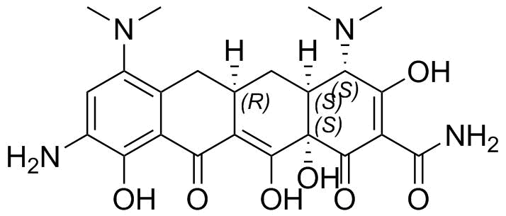 替加环素EP杂质B（9-氨基米诺环素）,Tigecycline EP Impurity B(9-Aminominocycline)