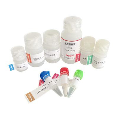 线粒体DNA提取试剂盒,Mitochondrial DNA Extraction Kit