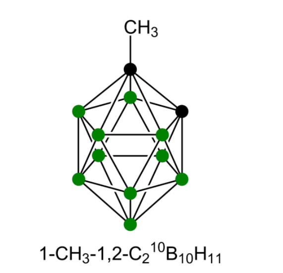 1-Methyl-o -carborane 10B