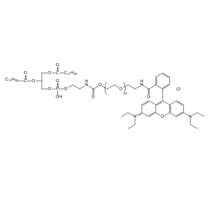 RB-PEG-DSPE 罗丹明B-聚乙二醇-二硬脂酰基磷脂酰乙醇胺