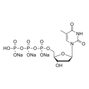 dTTP-trisodium-salt盐