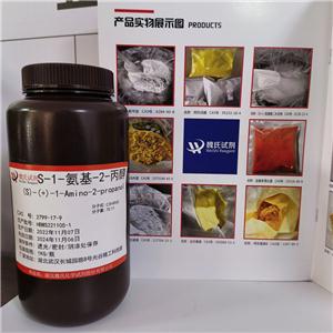 S-1-氨基-2-丙醇,(S)-(+)-1-Amino-2-propanol