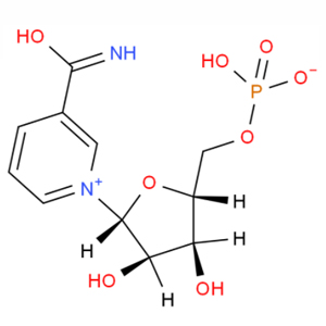 β-烟酰胺单核苷酸,β-Nicotinamide mononucleotide