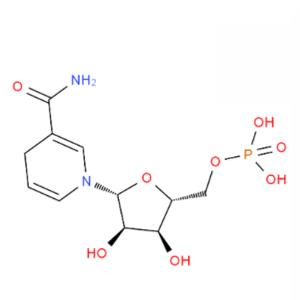 还原型烟酰胺单核苷酸（NMNH）,β-Nicotinamide mononucleotide， reduced form
