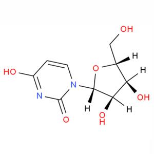 尿苷,Uridine