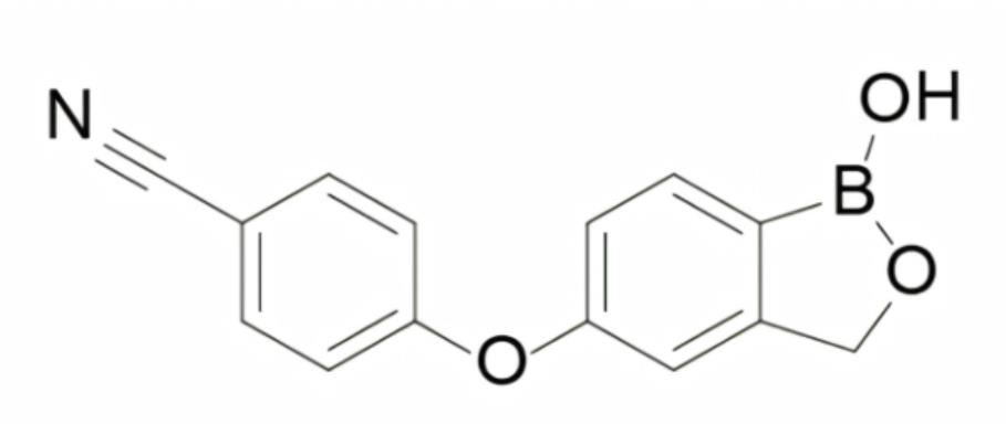 克立硼羅,Crisaborole