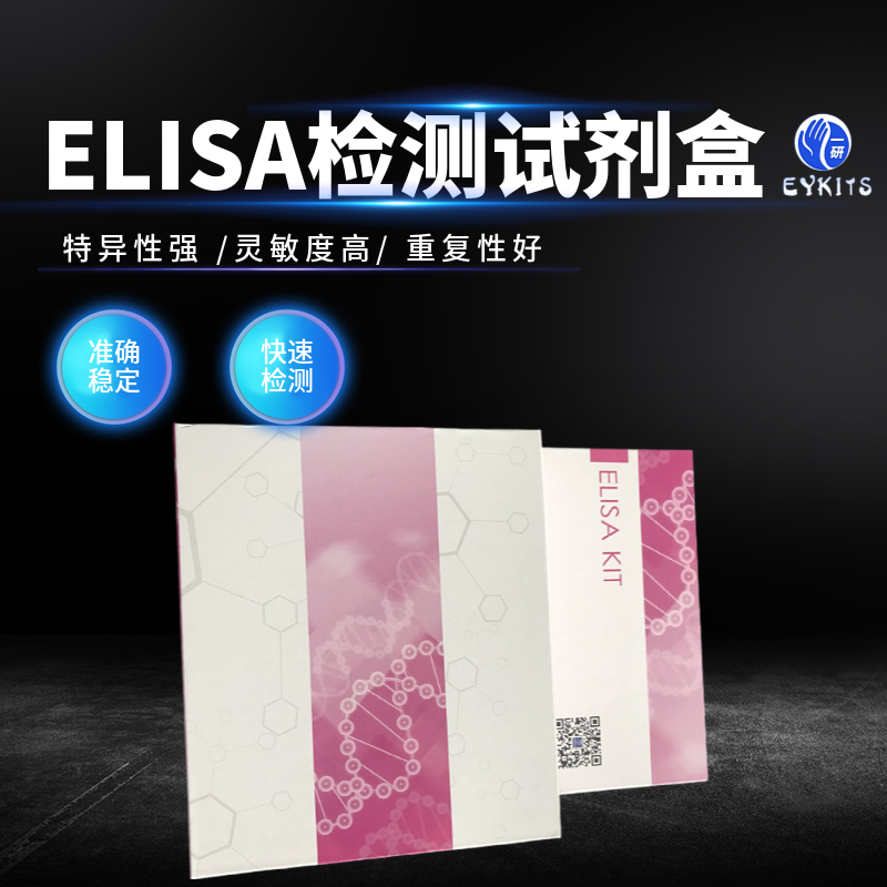 12-HETE Elisa Kit,Human 20-hydroxyeicosatetraenoic acid, 12-HETE Elisa Kit