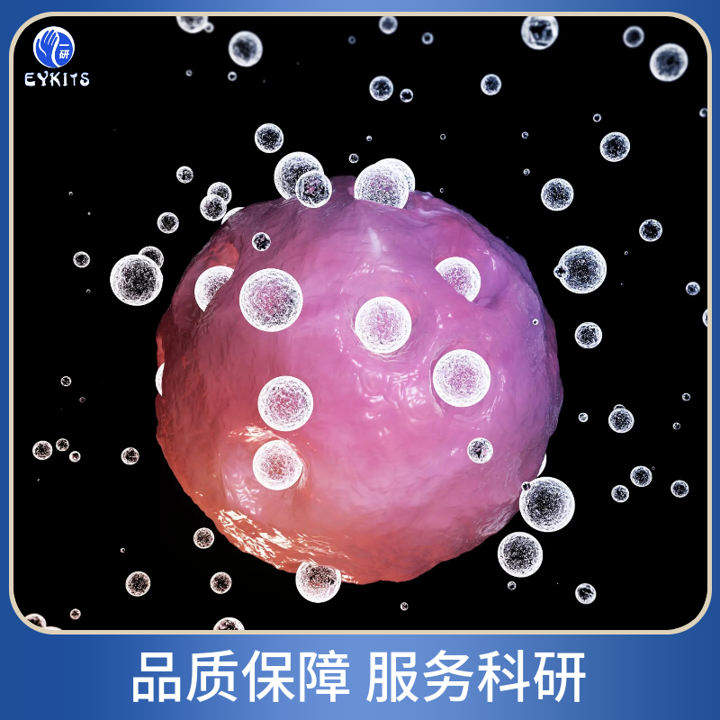 HepG2.2.15-GFP荧光标记细胞株,HepG2.2.15-GFP