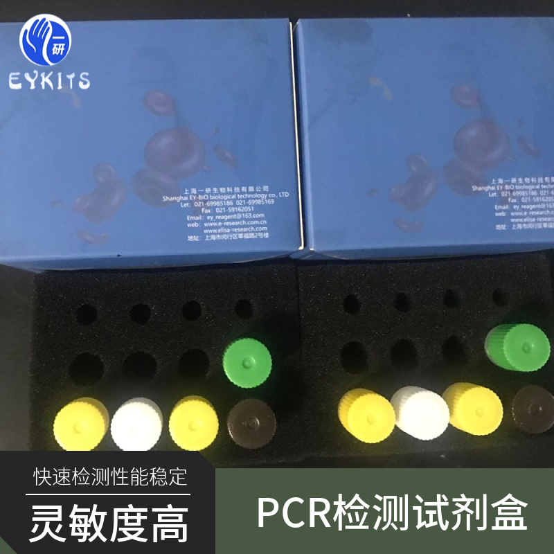 猪巴贝斯虫PCR检测试剂盒