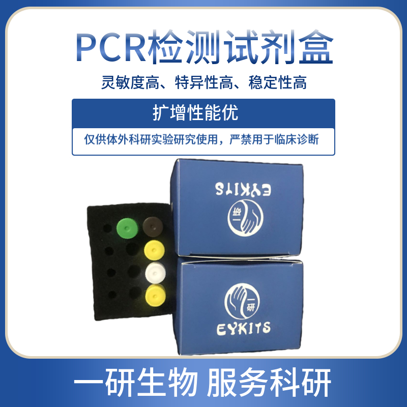 人分枝杆菌PCR检测试剂盒
