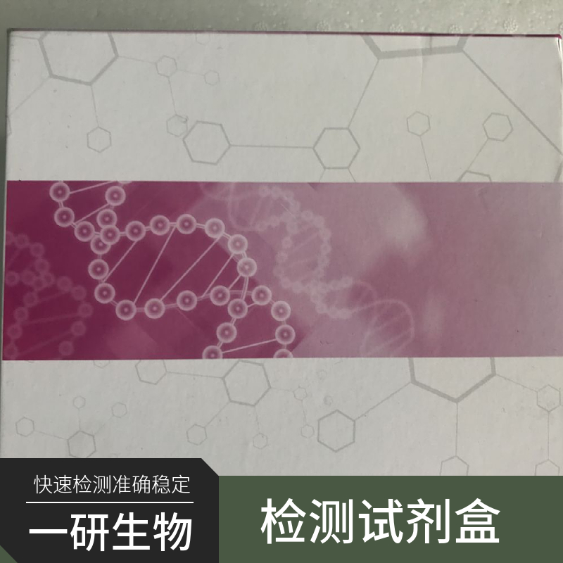 HCT8/DDP人结肠癌顺铂耐药株,HCT8/DDP