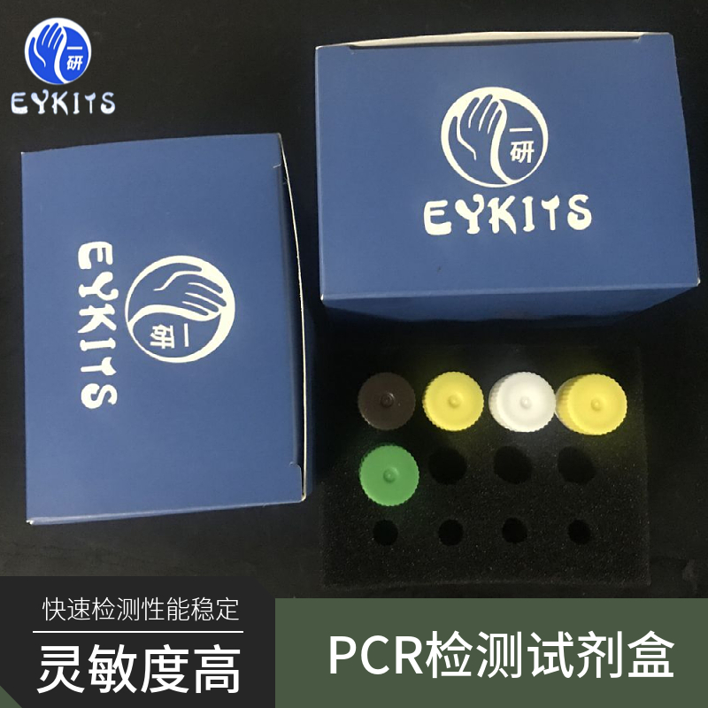 异源曼氏杆菌PCR检测试剂盒