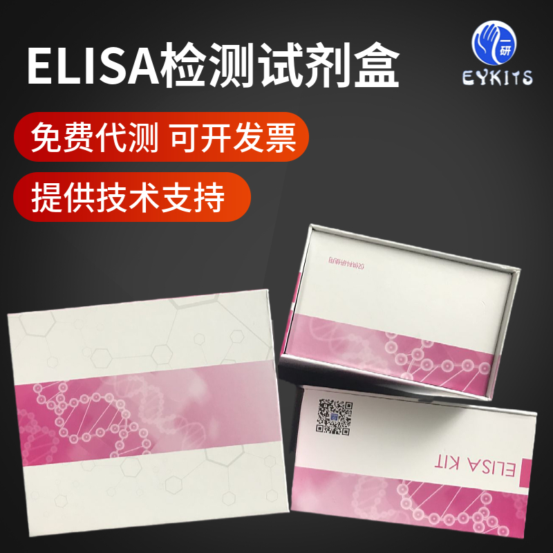 小鼠四氢叶酸ELISA试剂盒,Tetrahydrofolic Acid