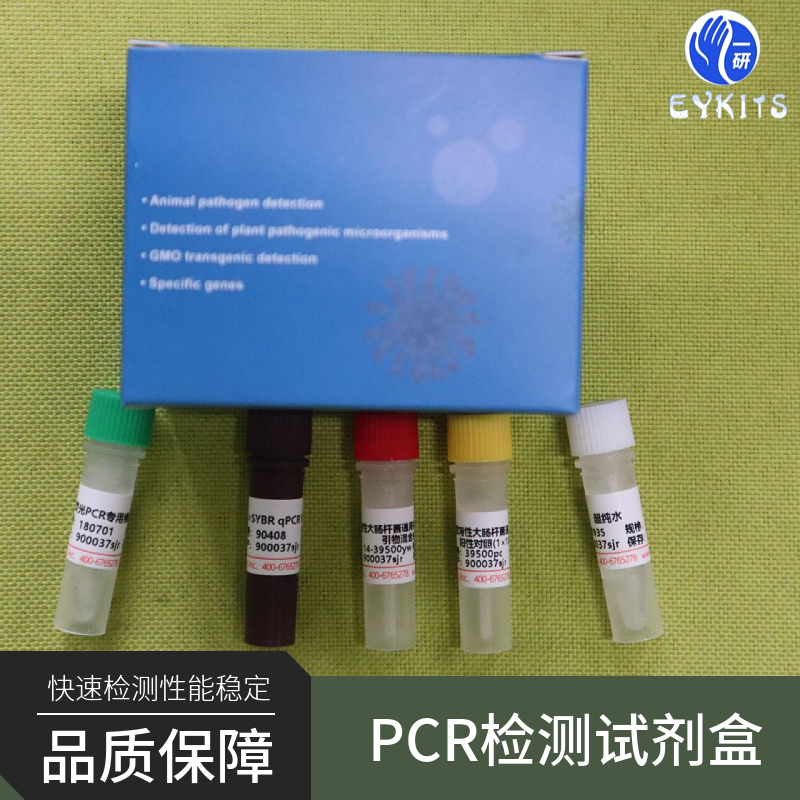 猪瘟病毒疫苗株PCR检测试剂盒科研用