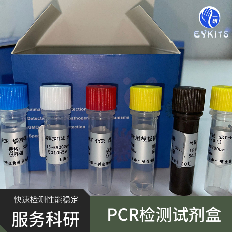 耐久肠球菌PCR检测试剂盒