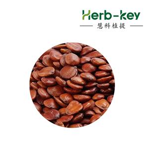 酸枣仁提取物,Jujube seed extract