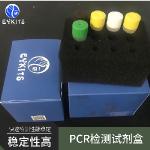 传染性脾肾坏死病病毒PCR检测试剂盒