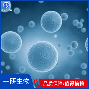 慢性粒细胞白血病细胞,K-562