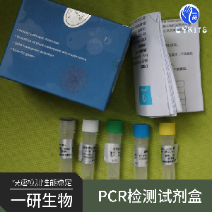 问号钩端螺旋体PCR检测试剂盒