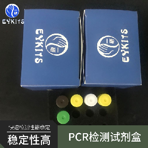 环纹背带线虫PCR检测试剂盒
