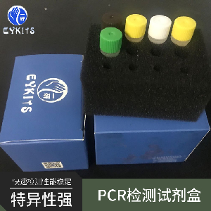 嗜衣原体通用PCR检测试剂盒